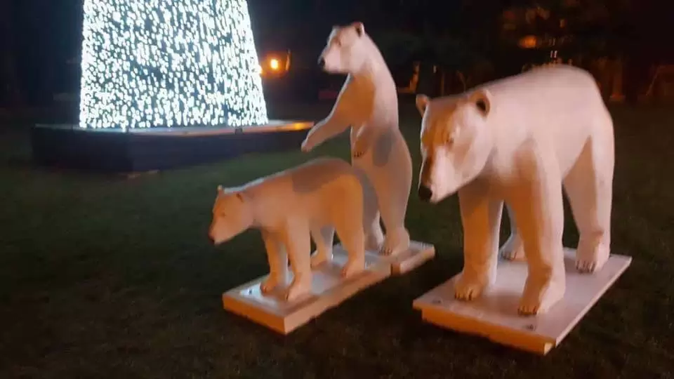 natale orsi polari