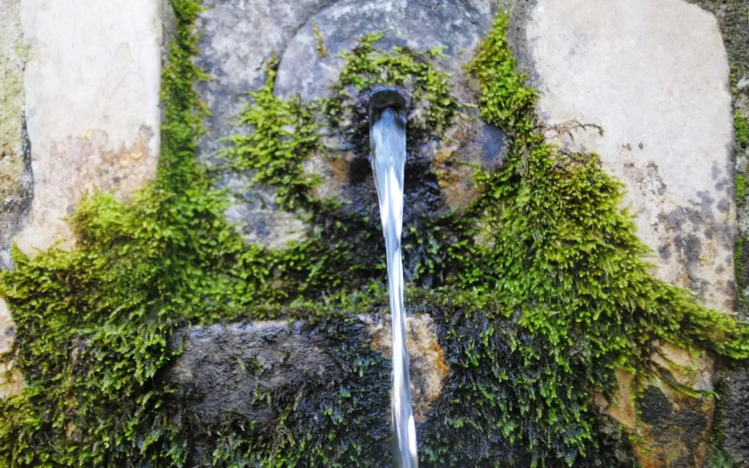 Puglia sorgenti acqua serino petizione raccolta firme
