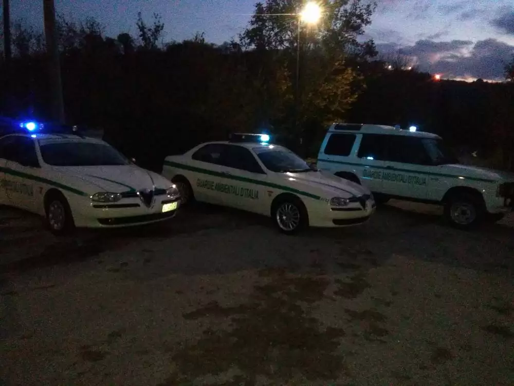 gadit avellino