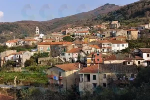 perdifumo