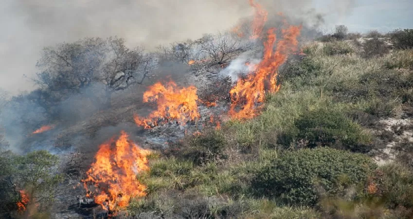 Incendi in Irpinia