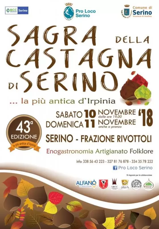 cosa fare nel weekend