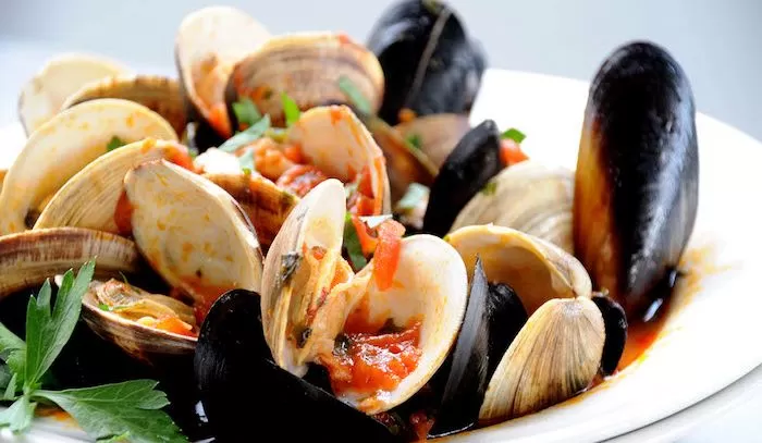 molluschi