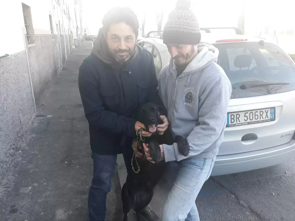 ciro cane scomparso