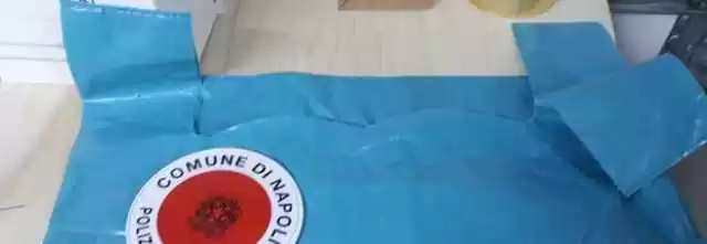 buste spesa