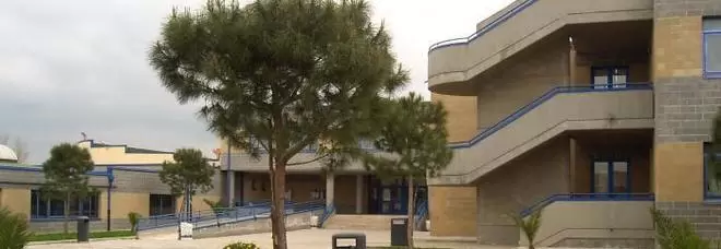 scuola influenza suina