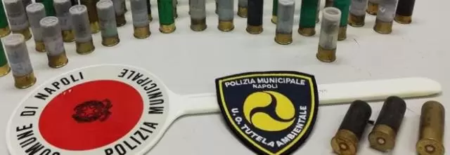 proiettili polizia