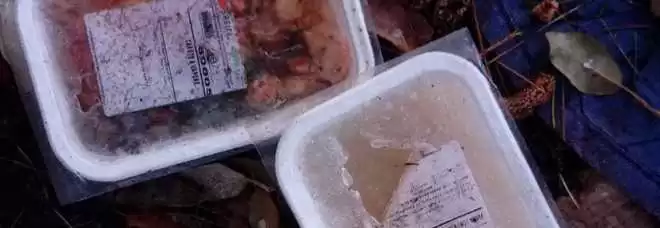 vaschette cibo