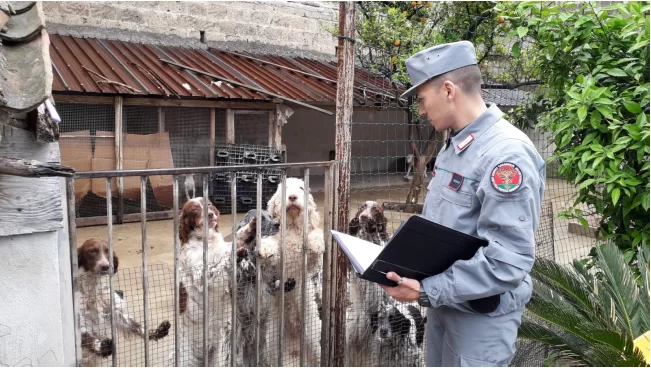 sequestro-allevamento-cani