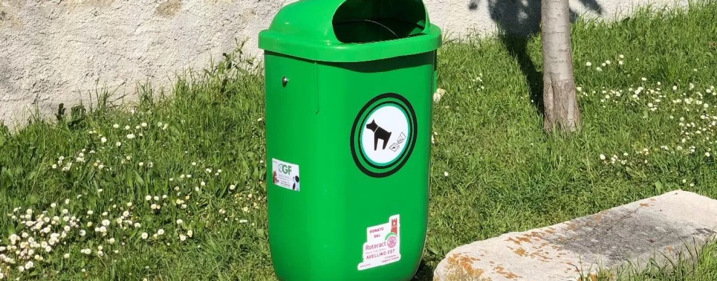 dog-point-Grottaminarda