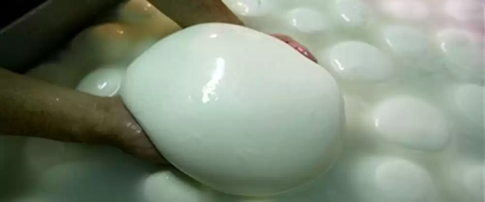mozzarella-5-9
