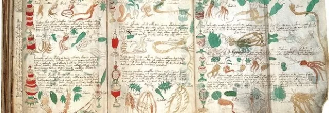 manoscritto