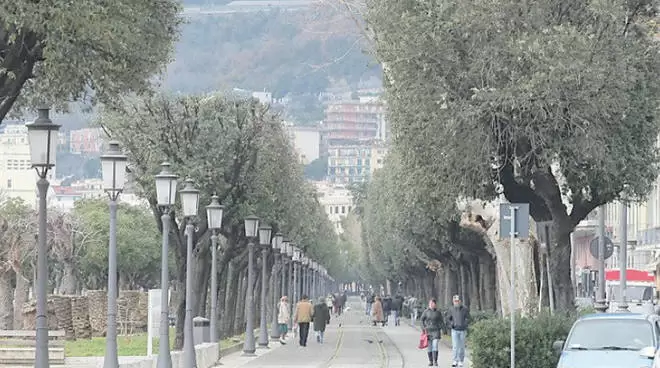 pista-ciclabile-lungomare