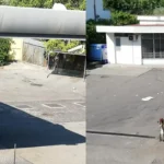 Malamovida-distributore-Q8-via-Astalonga-San-Giuseppe-Vesuviano-3