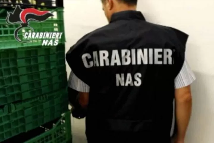 blitz-nas-napoli