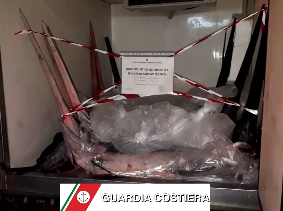 pesce-spada-ischia