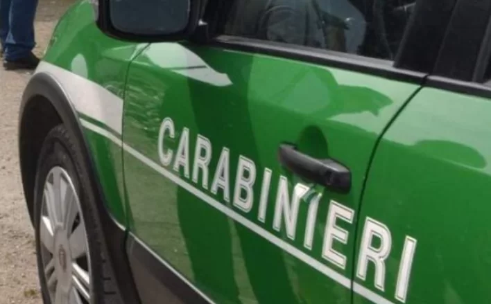 Carabinieri-Forestali