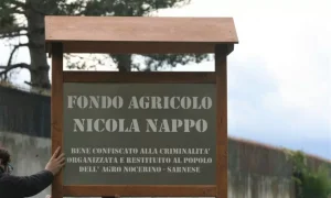 fondo-agricolo-nappo
