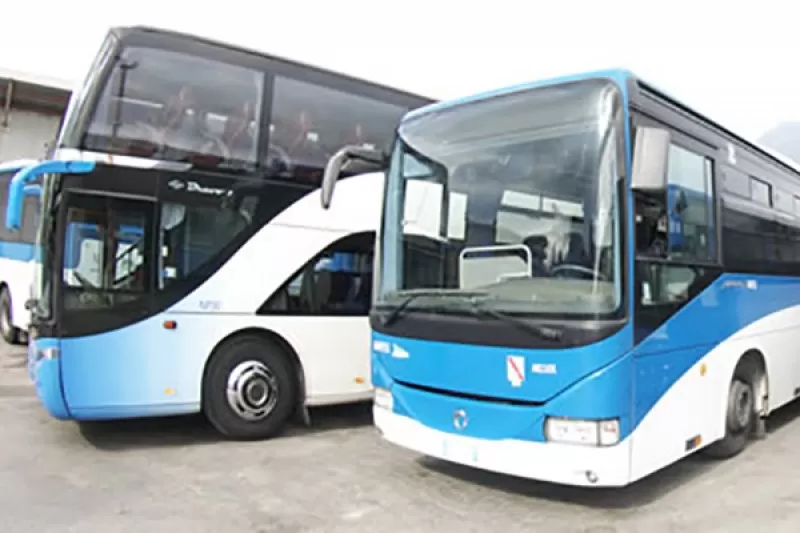 autobus campania