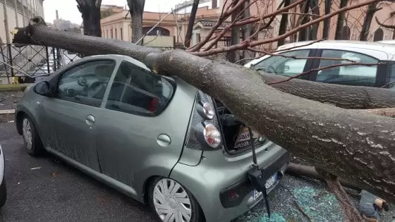 incidente montoro 30 dicembre