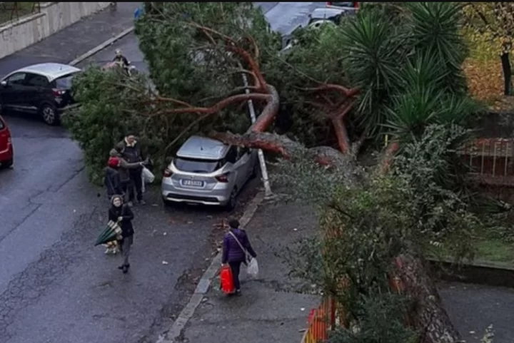 napoli-schiacciato-ucciso-albero-pronti-avvisi