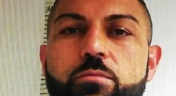 arrestato-rade-nikolic-pozzuoli-11-gennaio