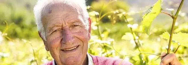 mondragone-morto-michele-moio-vino-falerno
