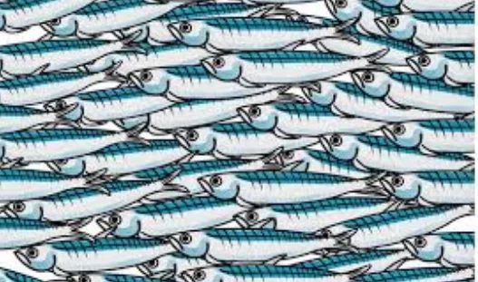 sardine-13-febbraio-assemblea-ariano-irpino