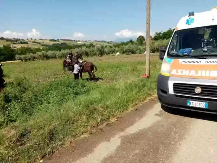 apice-46enne-cade-cavallo-ospedale