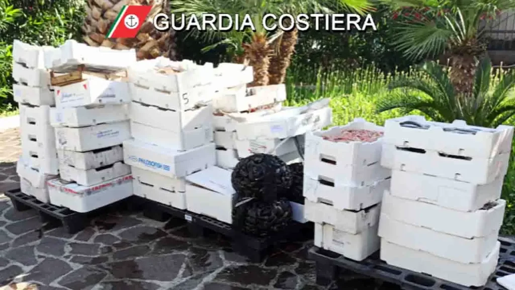 vongole-pericolose-fiume-sarno-sequestro-17-giugno