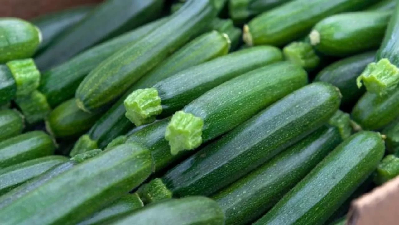 incendio-furgone-zucchine