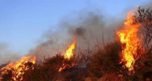 incendio-pescopagano-mondragone-rifiuti-sterpaglie-fiamme