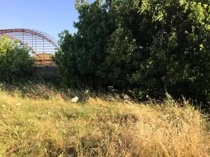 san-nicola-strada-cadavere-3-luglio