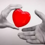 napoli bimbo muore organi