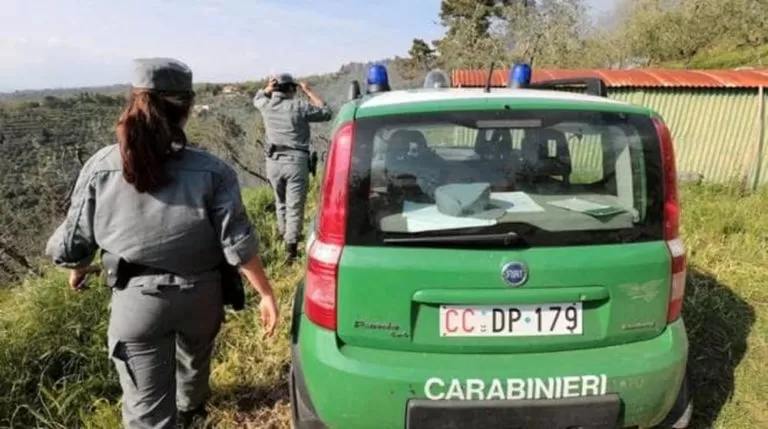 poggiomarino-prodotti-chimici-senza-autorizzazioni-azienda-agricola