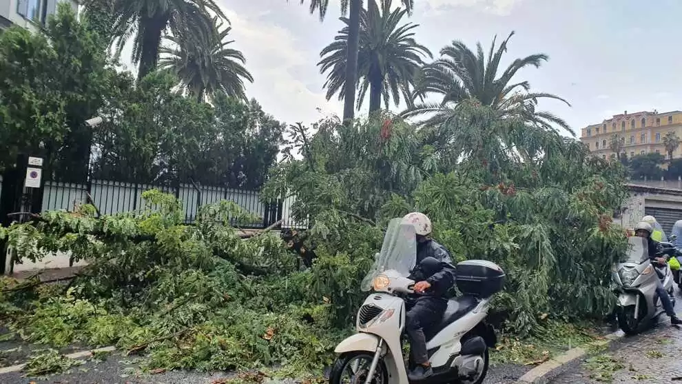 bomba-acqua-napoli-alberi-caduti-vomero