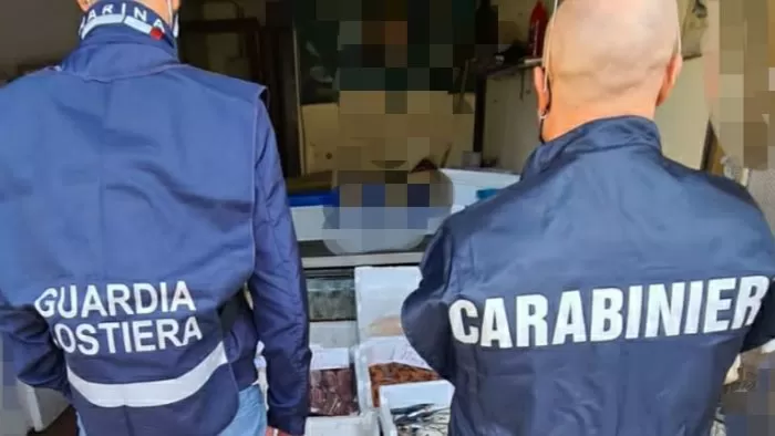 benevento-sequestro-pesce-sanzioni-3mila-euro