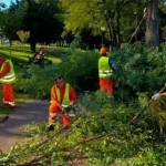 napoli-processo-dipendenti-comunali-giardinieri-assenteismo