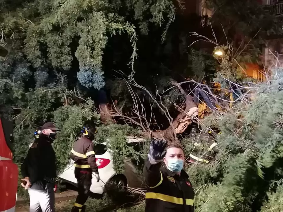 maltempo-napoli-albero-crolla-2-gennaio