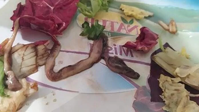 torre-del-greco-uomo-trova-serpente-busta-insalata