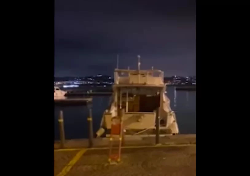 signora-tiktok-reddito-cittadinanza-risponde-video-borrelli