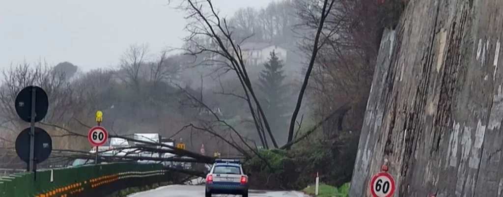 maltempo-frana-alberi-caduti-raccordo-salerno-avellino-traffico
