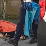 somma-vesuviana-uccide-cane-fucilata-denunciato