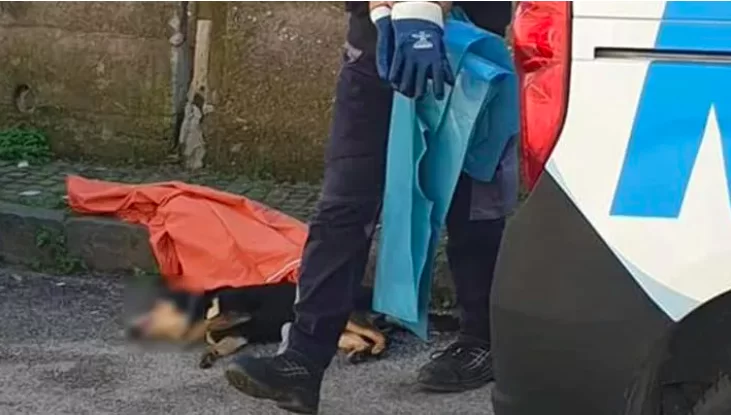 somma-vesuviana-uccide-cane-fucilata-denunciato