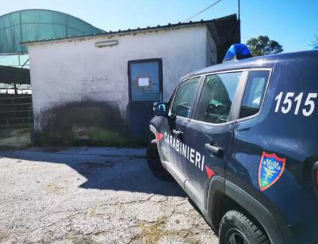 castel-volturno-sequestrato-allevamento-17-marzo