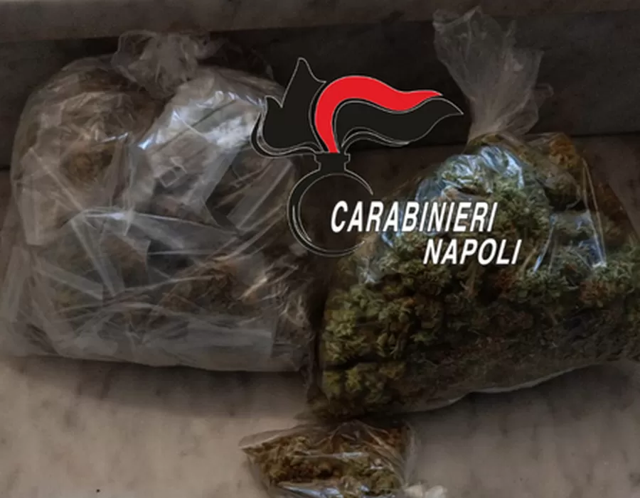 droga-napoli-sequestro-marijuana-12-marzo