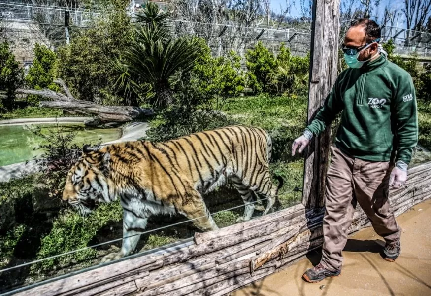scuole-chiuse-campania-napoli-lezione-zoo