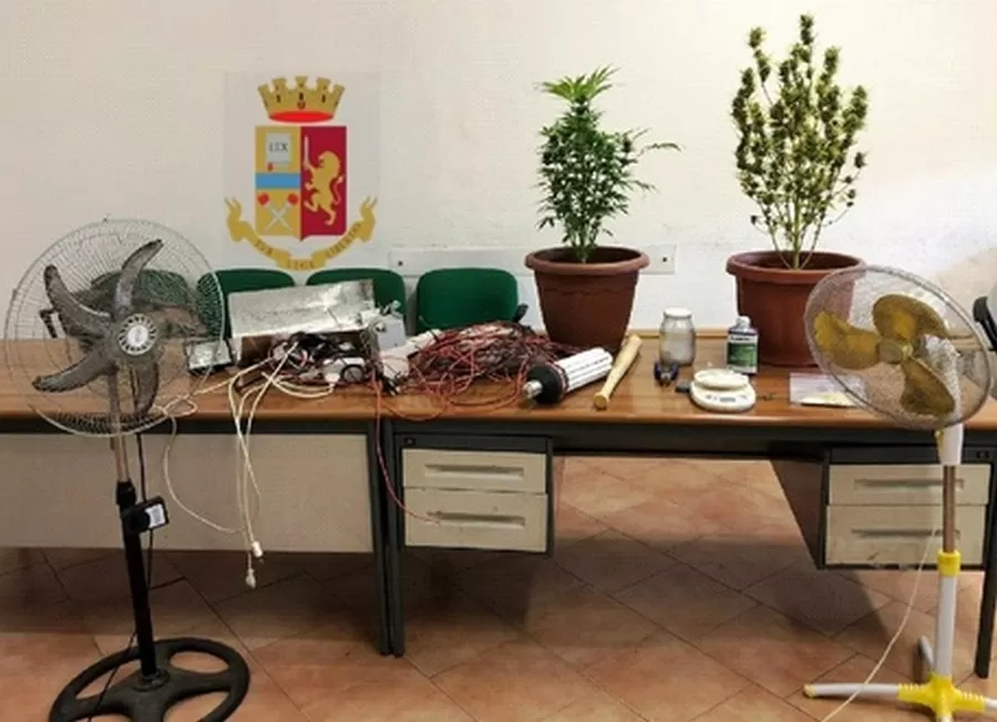 serra-marijuana-napoli-barra-5-aprile