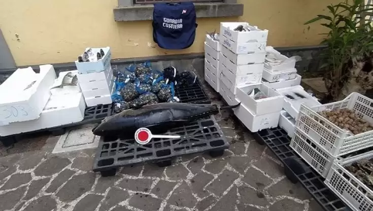 sorrento sequestro pesce cozze