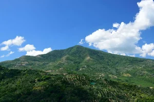 ceneri-bambina-morta-palinuro-monte-stella